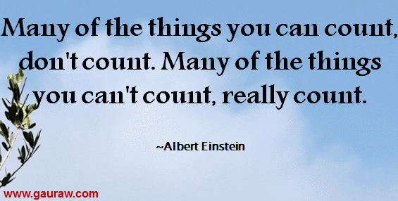 Many of the things you can count, don't count. Many of the things you can't count, really count.