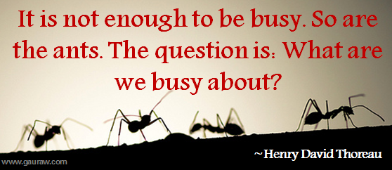 It is not enough to be busy. So are the ants. The question is: What are we busy about? - Henry David Thoreau