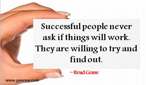 Successful People Never Ask If Things Will Work. They Are Willing To Try And Find Out --Brad Gosse