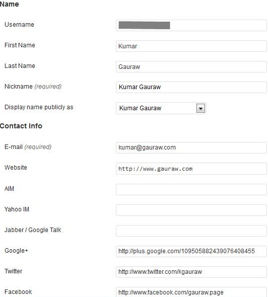 User Profile For Kumar Gauraw In WordPress Admin Area for Building Brand Identity