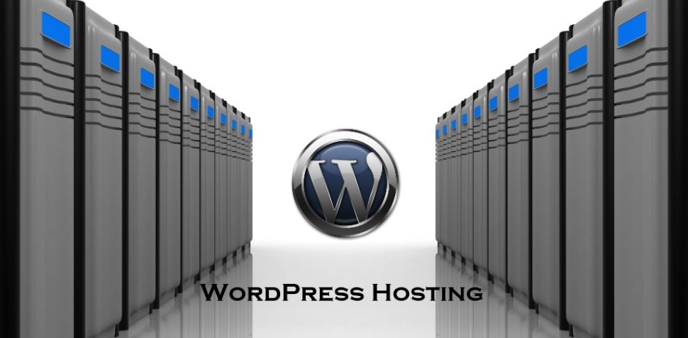 WordPress Website Hosting Choices - Best Web Hosting Companies