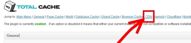 CDN Settings In W3 Total Cache Plugin