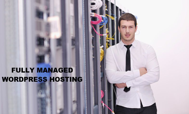 Fully Managed WordPress Hosting by Krishna World Wide Team