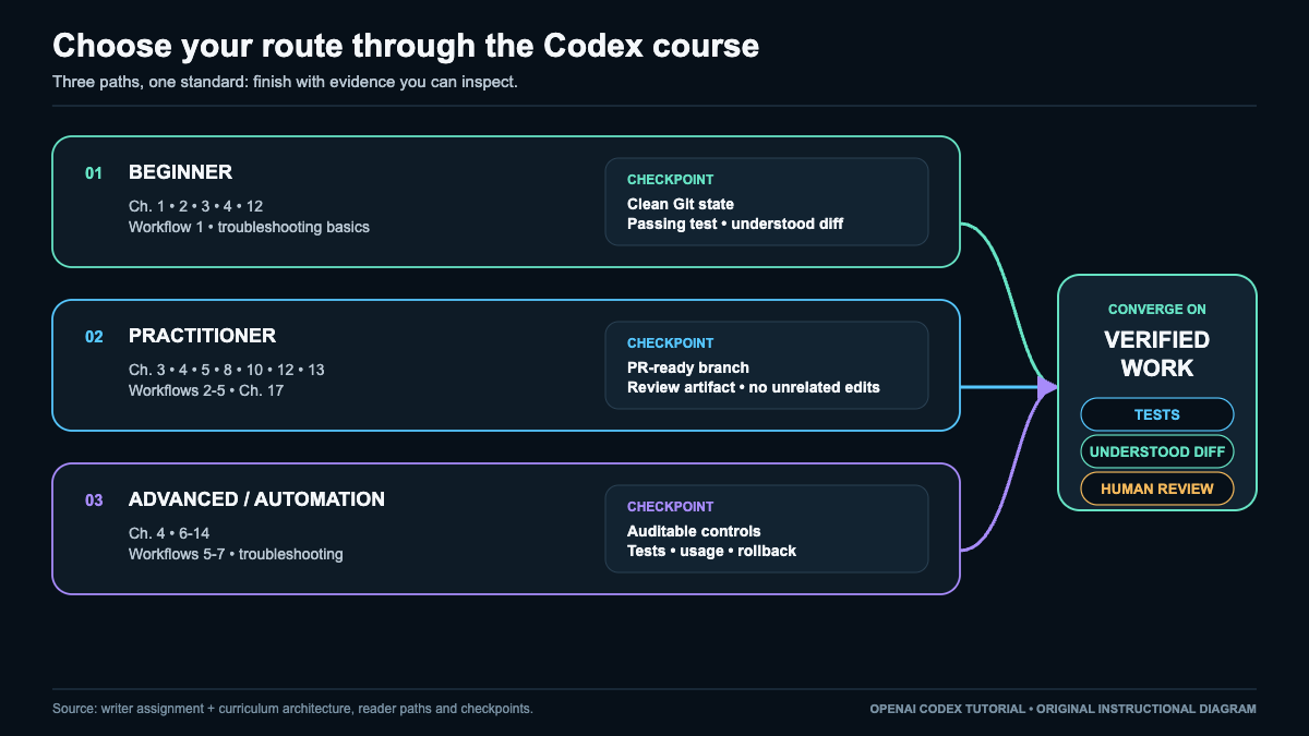 OpenAI Codex course map with beginner, practitioner, and advanced learning paths