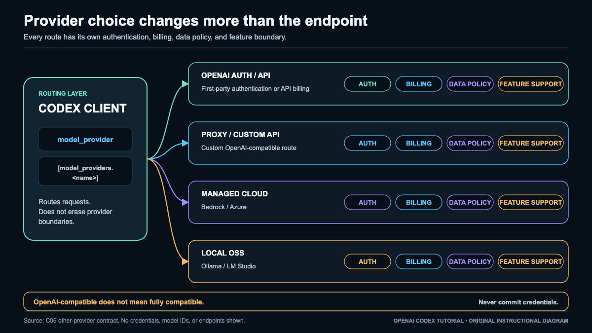 Codex provider routing diagram showing OpenAI, cloud, proxy, and local-model boundaries